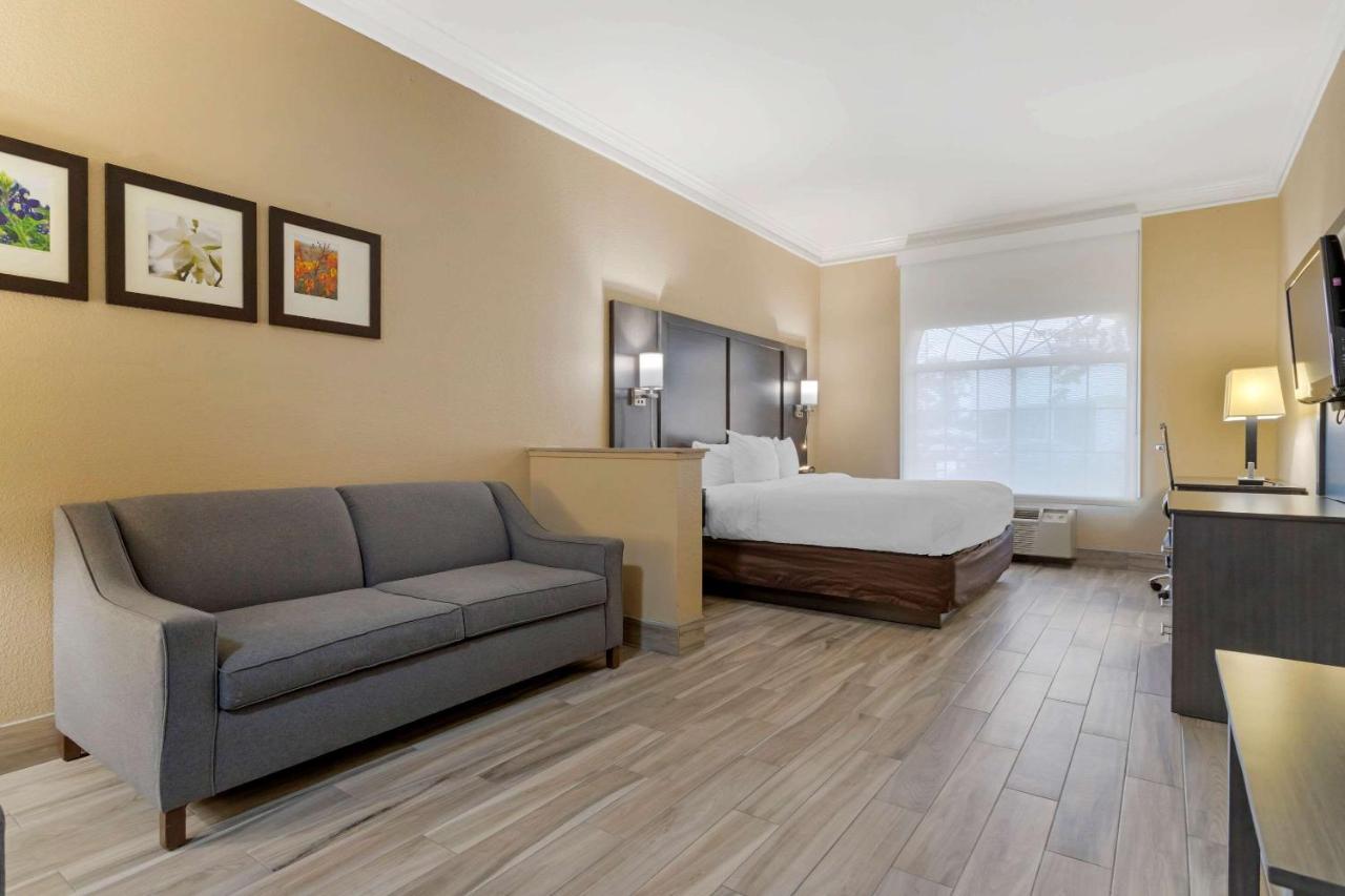 King Suite - Non Smoking with High Ceiling